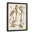 Obro Botanical Iv - Vision Studio | Cuadro decorativo de Canvas Lab