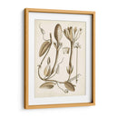 Obro Botanical Iv - Vision Studio | Cuadro decorativo de Canvas Lab