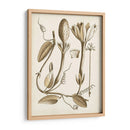 Obro Botanical Iv - Vision Studio | Cuadro decorativo de Canvas Lab