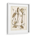 Obro Botanical Iv - Vision Studio | Cuadro decorativo de Canvas Lab