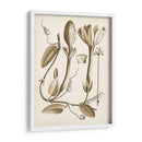 Obro Botanical Iv - Vision Studio | Cuadro decorativo de Canvas Lab