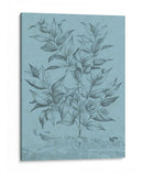 Botánico En Teal I - Vision Studio | Cuadro decorativo de Canvas Lab