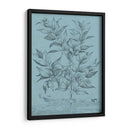 Botánico En Teal I - Vision Studio | Cuadro decorativo de Canvas Lab