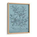 Botánico En Teal I - Vision Studio | Cuadro decorativo de Canvas Lab