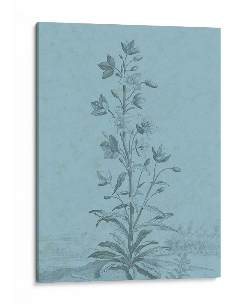 Botánico En Teal Ii - Vision Studio | Cuadro decorativo de Canvas Lab
