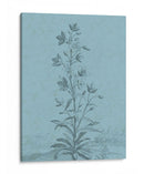 Botánico En Teal Ii - Vision Studio | Cuadro decorativo de Canvas Lab
