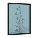 Botánico En Teal Ii - Vision Studio | Cuadro decorativo de Canvas Lab