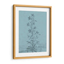 Botánico En Teal Ii - Vision Studio | Cuadro decorativo de Canvas Lab