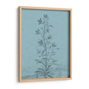 Botánico En Teal Ii - Vision Studio | Cuadro decorativo de Canvas Lab