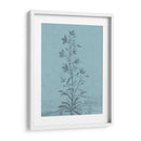 Botánico En Teal Ii - Vision Studio | Cuadro decorativo de Canvas Lab