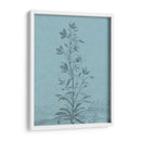 Botánico En Teal Ii - Vision Studio | Cuadro decorativo de Canvas Lab