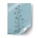 Botánico En Teal Ii - Vision Studio | Cuadro decorativo de Canvas Lab