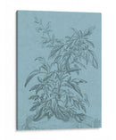 Botánico En Teal Iii - Vision Studio | Cuadro decorativo de Canvas Lab