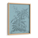 Botánico En Teal Iii - Vision Studio | Cuadro decorativo de Canvas Lab