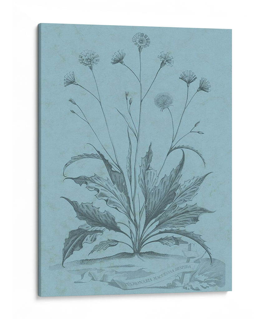 Botánico En Teal Iv - Vision Studio | Cuadro decorativo de Canvas Lab