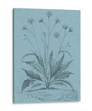 Botánico En Teal Iv - Vision Studio | Cuadro decorativo de Canvas Lab