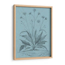 Botánico En Teal Iv - Vision Studio | Cuadro decorativo de Canvas Lab