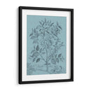 Botánico En Teal V - Vision Studio | Cuadro decorativo de Canvas Lab