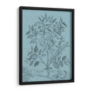 Botánico En Teal V - Vision Studio | Cuadro decorativo de Canvas Lab