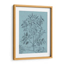 Botánico En Teal V - Vision Studio | Cuadro decorativo de Canvas Lab