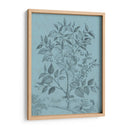 Botánico En Teal V - Vision Studio | Cuadro decorativo de Canvas Lab