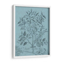 Botánico En Teal V - Vision Studio | Cuadro decorativo de Canvas Lab