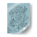 Botánico En Teal V - Vision Studio | Cuadro decorativo de Canvas Lab