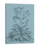 Botánico En Teal Vi - Vision Studio | Cuadro decorativo de Canvas Lab