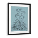 Botánico En Teal Vi - Vision Studio | Cuadro decorativo de Canvas Lab