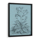 Botánico En Teal Vi - Vision Studio | Cuadro decorativo de Canvas Lab