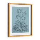 Botánico En Teal Vi - Vision Studio | Cuadro decorativo de Canvas Lab
