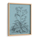 Botánico En Teal Vi - Vision Studio | Cuadro decorativo de Canvas Lab