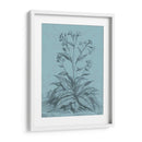 Botánico En Teal Vi - Vision Studio | Cuadro decorativo de Canvas Lab