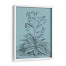 Botánico En Teal Vi - Vision Studio | Cuadro decorativo de Canvas Lab