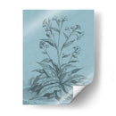 Botánico En Teal Vi - Vision Studio | Cuadro decorativo de Canvas Lab