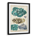 Mineralogie I - Vision Studio | Cuadro decorativo de Canvas Lab