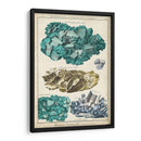 Mineralogie I - Vision Studio | Cuadro decorativo de Canvas Lab
