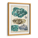 Mineralogie I - Vision Studio | Cuadro decorativo de Canvas Lab