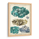 Mineralogie I - Vision Studio | Cuadro decorativo de Canvas Lab