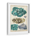 Mineralogie I - Vision Studio | Cuadro decorativo de Canvas Lab