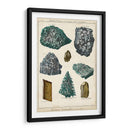 Mineralogie Ii - Vision Studio | Cuadro decorativo de Canvas Lab