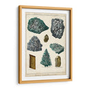 Mineralogie Ii - Vision Studio | Cuadro decorativo de Canvas Lab