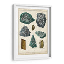 Mineralogie Ii - Vision Studio | Cuadro decorativo de Canvas Lab
