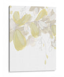 Viridis Iv - June Erica Vess | Cuadro decorativo de Canvas Lab