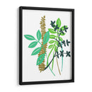 Hedge Fila I - Alicia Ludwig | Cuadro decorativo de Canvas Lab