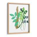 Hedge Fila I - Alicia Ludwig | Cuadro decorativo de Canvas Lab