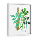 Hedge Fila I - Alicia Ludwig | Cuadro decorativo de Canvas Lab