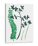 Hedge Row Iv - Alicia Ludwig | Cuadro decorativo de Canvas Lab