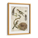 Avian Diario I - Vision Studio | Cuadro decorativo de Canvas Lab