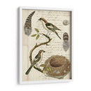 Avian Diario I - Vision Studio | Cuadro decorativo de Canvas Lab
